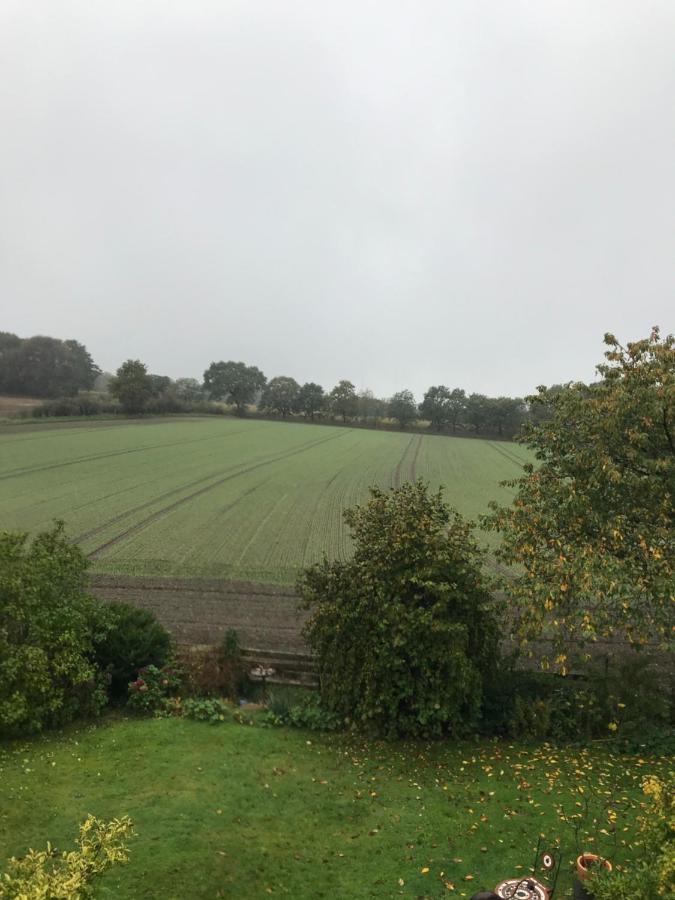 Ferienwohnung Nesthaekchen Hanerau-Hademarschen Esterno foto